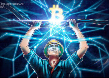 Cuban widerspricht Musk – Dallas Mavericks halten an Zahlungsmittel Bitcoin fest