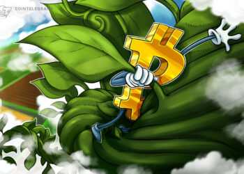 Bitcoin-Kurs über 36.000 US-Dollar: Altcoins verzeichnen zweistellige Zuwächse