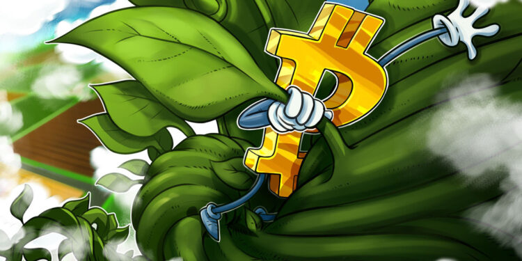 Bitcoin-Kurs über 36.000 US-Dollar: Altcoins verzeichnen zweistellige Zuwächse