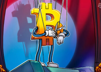 Sygnia-Chefin wirft Elon Musk Marktmanipulation bei Bitcoin vor
