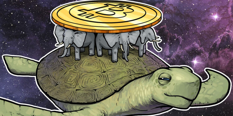 Aus der Gefahrenzone? – Bitcoin kann den „großen Absturz“ zunächst verhindern
