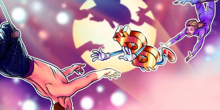 Bitcoin schießt auf 49.000 US-Dollar und zieht Altcoins mit