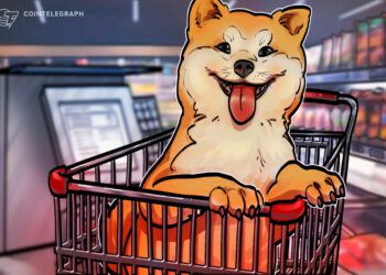Großer Satz für den kleinen Hund – Shiba Inu springt auf neues Rekordhoch