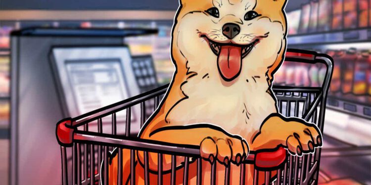 Großer Satz für den kleinen Hund – Shiba Inu springt auf neues Rekordhoch