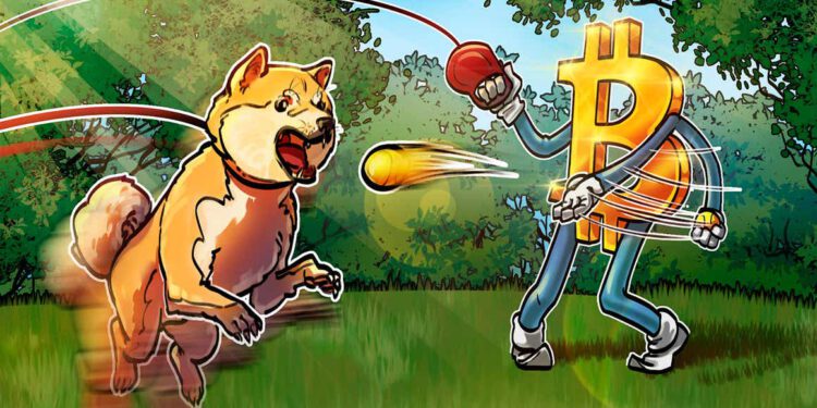 Voll verhun(d)zt – Dogecoin verliert nach großem Hype 70 Prozent gegenüber Bitcoin