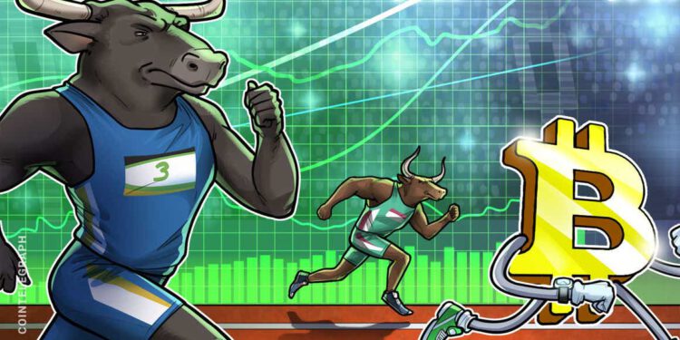 “Monster-Bullenbewegung”? Wale könnten für Bitcoin-Anstieg sorgen