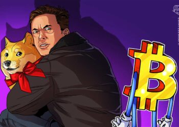 Dogecoin für Zahlungen besser als Bitcoin
