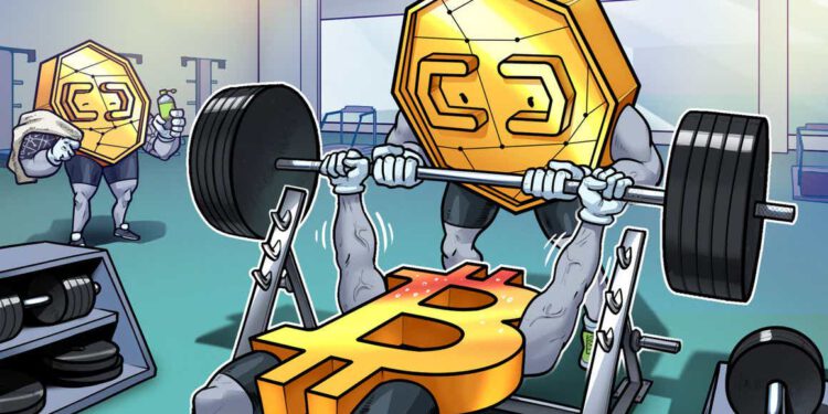 Bitcoin festigt sich über 40.000 US-Dollar, Altcoins wieder „interessant“