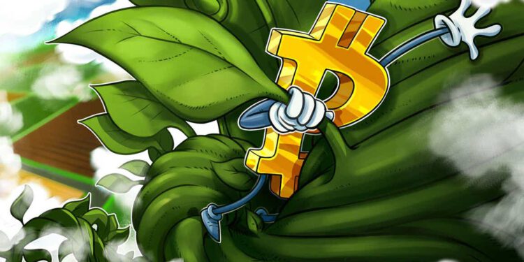 Zurück nach oben – Bitcoin krallt sich bei 41.000 US-Dollar fest