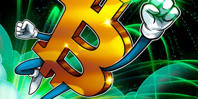 Neues Allzeithoch? Bitcoin (BTC)-Tagesschluss über 48.000 US-Dollar macht es möglich