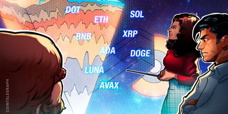 Bitcoin (BTC), Ethereum (ETH), Binance Coin (BNB), Ripple (XRP), Cardano (ADA), Terra (LUNA), Solana (SOL), Avalanche (AVAX), Polkador (DOT), Dogecoin (DOGE)