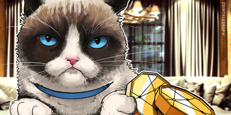 Coinbase Wallet stellt Support für XRP, BCH, ETC und XLM ein