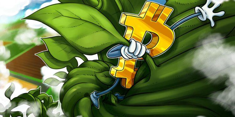 Bitcoin-Kurs springt zurück auf 30.000 US-Dollar – Neues Jahreshoch für 2023