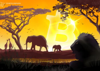 Optimistischer Ausblick für Bitcoin (BTC)-Land Zentralafrikanische Republik