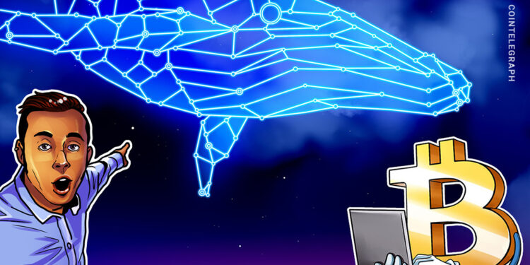 Bitcoin (BTC)-Wallet nach 11 Jahren erwacht: 30 Mio. US-Dollar bewegt