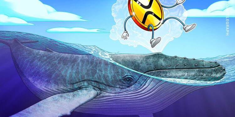 XRP-Kurs im Sinkflug – Großer Wal könnte für weiteren Verkaufsdruck sorgen
