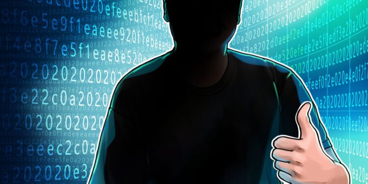 Mysteriöser Bitcoiner: 9-MB-Bitcoin-Inskription für 64.000 US-Dollar