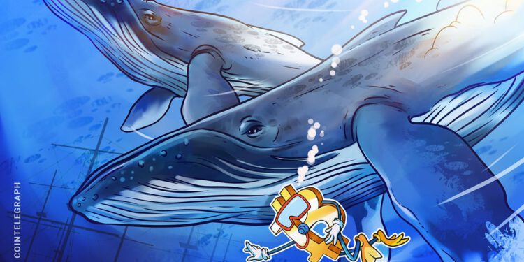 Bitcoin (BTC) geht in „neue Phase“ über – Wale kaufen über 47.000 BTC in kurzer Zeit an
