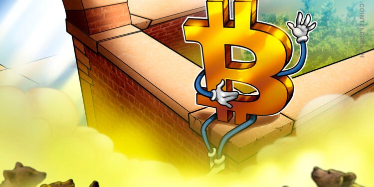 Warnsignal! Wale können Bitcoin dumpen