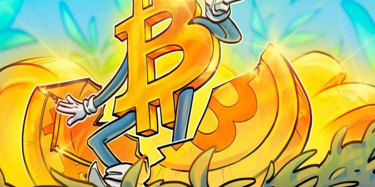 Autor Adam Livingston über BTC-Konzentration