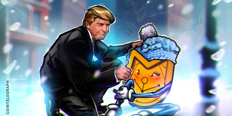 Trump sieht eigenen Memecoin als politisches Stimmungsbarometer