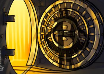 Bitcoin-Treasury-Strategien könnten kurzlebig sein