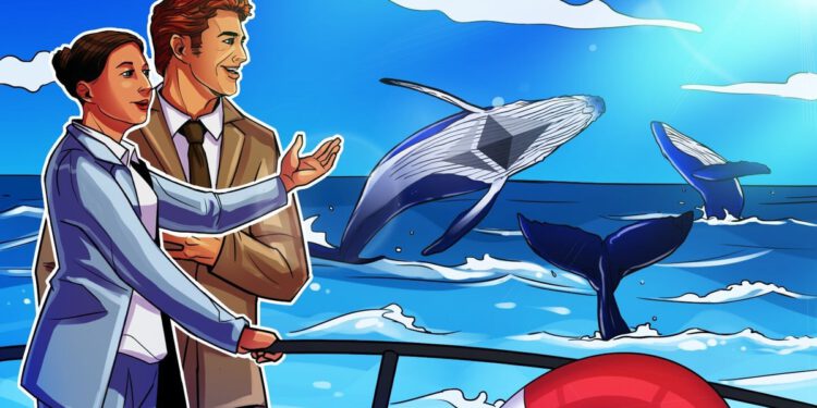 Ethereum (ETH)-Wale kaufen soviele ETH wie seit 2018 nicht mehr