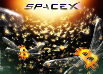 Nach drei Jahren Ruhe bewegt SpaceX 1.308 BTC