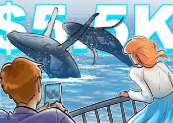Bitcoin (BTC)-Wale kaufen Ether, nachdem der ETH-Kurs Rekordhöhen erreicht hat