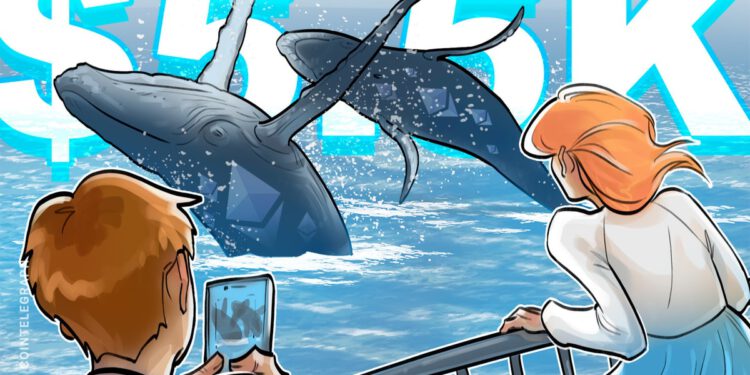 Bitcoin (BTC)-Wale kaufen Ether, nachdem der ETH-Kurs Rekordhöhen erreicht hat