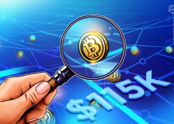 Bitcoin (BTC)-Trader: 115.000 US-Dollar wichtiges Niveau