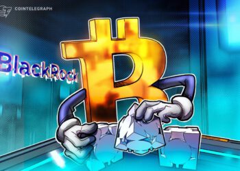 BTC wird von Investoren nicht als Zahlungsinstrument verstanden