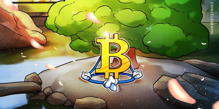 Bitcoin-Kurs hofft auf „Weihnachtsrallye“ – Coinbase sieht Rückenwind