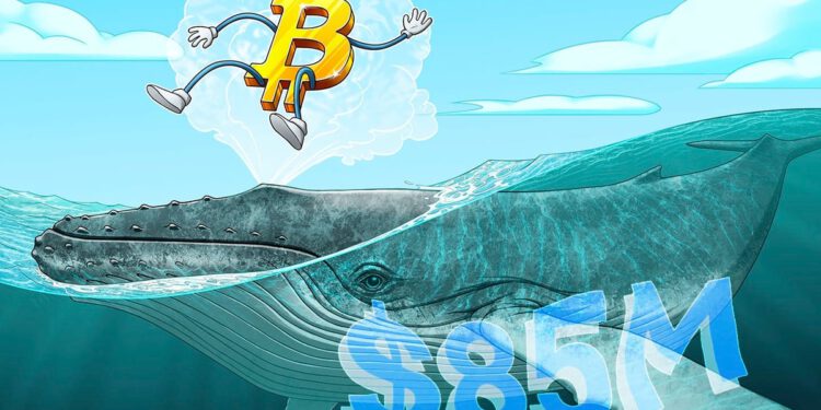 Wal aus Satoshi-Ära bewegt 85 Mio. US-Dollar in Bitcoin