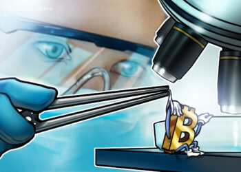 Institutionelle Investoren werden Bitcoin nicht alleine tragen – Experte