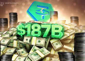 Tether erreicht Rekordmarktkapitalisierung im vierten Quartal