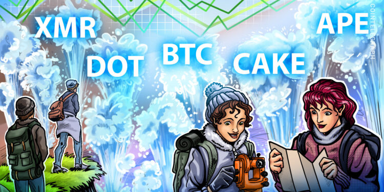 Bitcoin (BTC), Polkadot (DOT), Monero (XMR), ApeCoin (APE), CakeSwap (CAKE)
